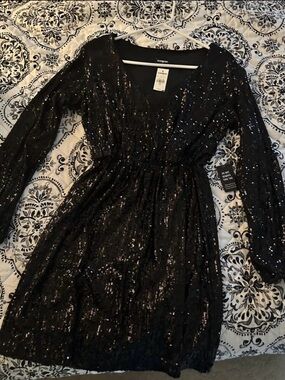 Express Black Sequin Long Sleeve V-Neck Party Dress